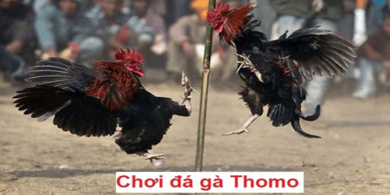 da-ga-Thomo