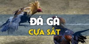 da-ga-cua-sat-1